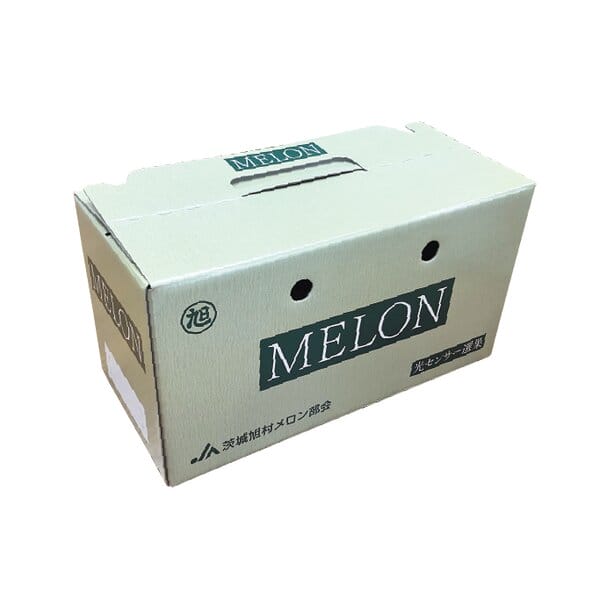 茨城県 JA茨城旭村 大玉メロン2種ミックス 5Lサイズ2玉入り(アンデス1玉、クインシー1玉)【お届け期間:5月15日〜6月30日】【KN】　商品画像3