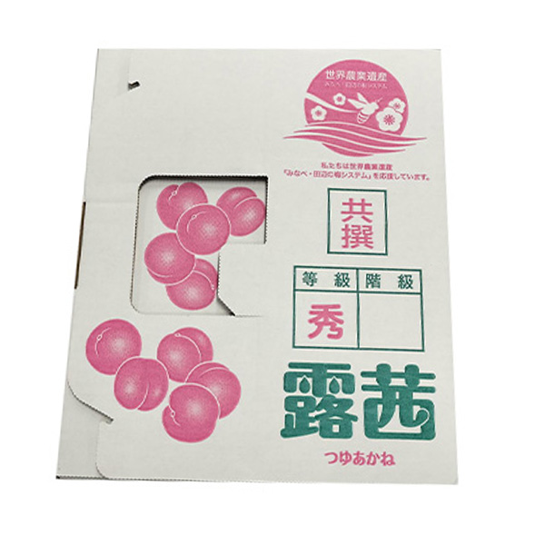 和歌山県産 JAわかやま(紀州地域本部)青梅 露茜(つゆあかね) 3L寸 2kg【限定30点】【お届け期間：6月10日〜7月18日】【おいしいお取り寄せ】　商品画像4