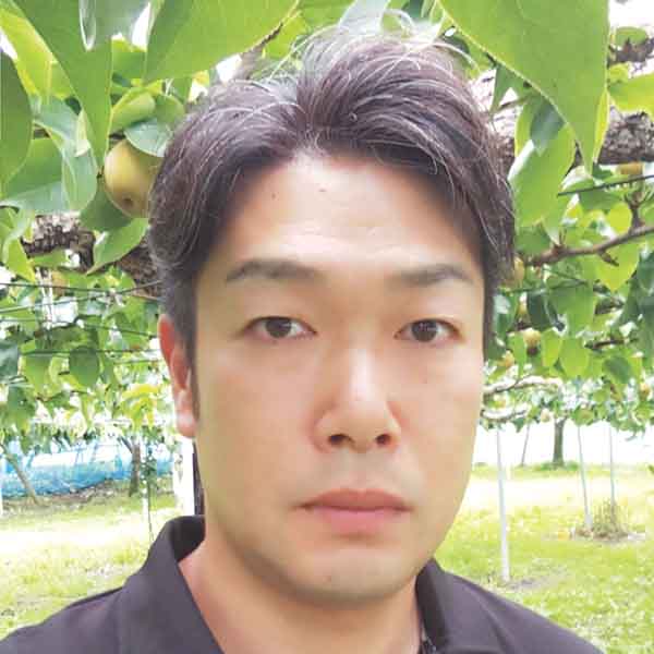 埼玉県産 上里町地区 飯塚さんの幸水梨(3L〜6L・5kg・14〜8玉)【限定:40点】【お届け期間:8月16日〜8月31日】【KN】　商品画像2