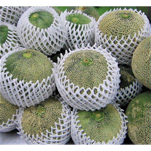 茨城県お菓子のきくち茨城メロン100％アイスキャンデー10本入「お届け期間」2025/7/1〜2025/9/10【KN】　商品画像4