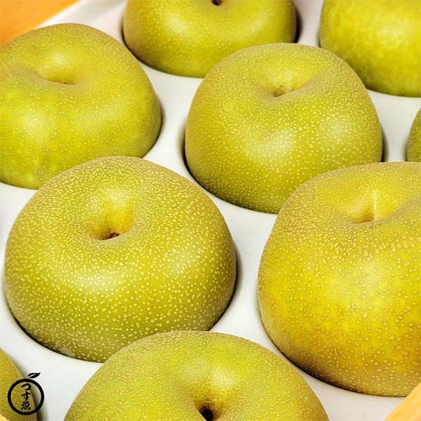 熊本県産 旬の梨 おまかせ 2kg 4〜10玉【お届け期間：8月12日〜9月30日】【サマーセール】　商品画像4