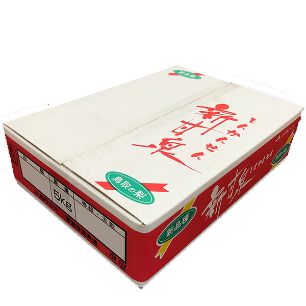 鳥取県産 梨 新甘泉 4.5kg【敬老の日】　商品画像4