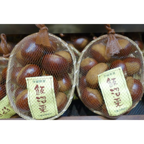 茨城県産 飯沼栗 2kg【お届け期間：10月25日〜11月10日