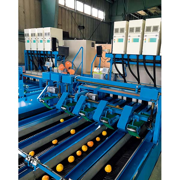 福岡県産 みかん 華たちばな(いしじ)糖度12度以上(お届け期間：11/15〜12/23)【冬の贈りもの・お歳暮】　商品画像4