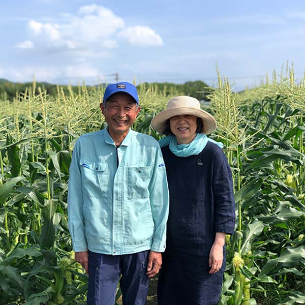 福岡県産(JA粕屋) 安武さんのみはやみかん 2.5kg【限定200点】【お届け期間:12月1日〜12月28日】【おいしいお取り寄せ】 商品画像4