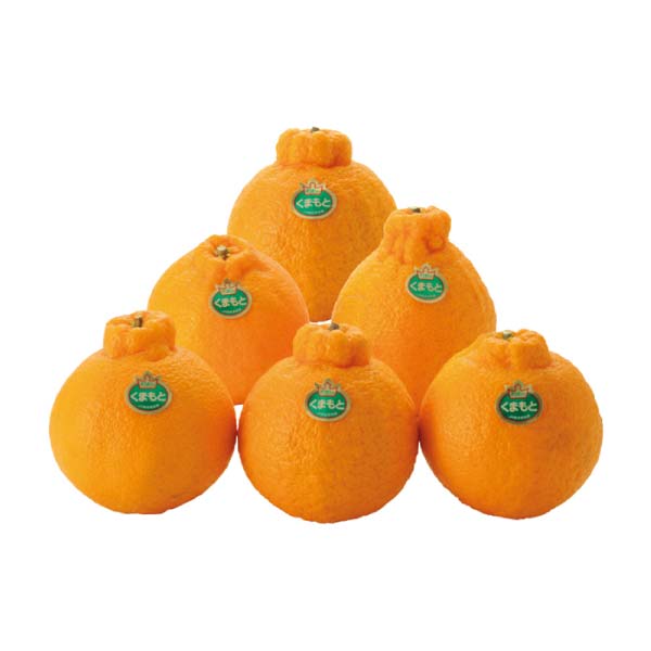 熊本県産 晩白柚・デコポンセット(お届け期間：11/11〜12/30)【冬の贈りもの・お歳暮】　商品画像4