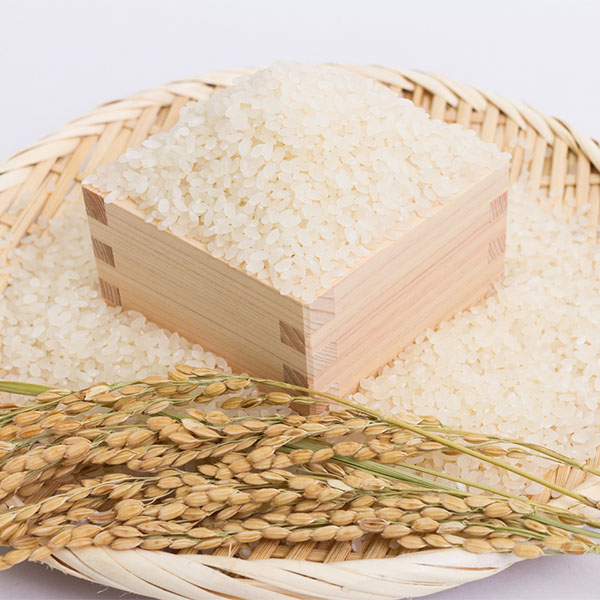 【令和7年産】【無洗米】岩手県産 無洗米 農薬節減栽培米ひとめぼれ 5kg【おいしいお取り寄せ】 商品画像4