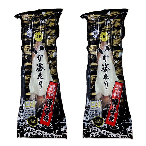 玄界灘産 剣先イカ姿造り1杯(100g)×2(L8098)【九州フェア】【サクワ】　商品画像3