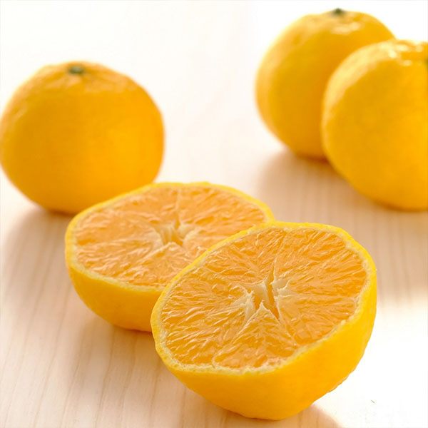 愛媛県八幡浜産 柑橘 媛小春 わけあり ご家庭用 4kg【限定500点】【お届け期間：2月20日〜3月10日】【お買い得セール2月】　商品画像4