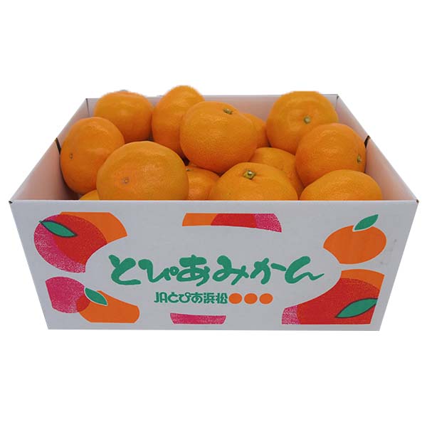 静岡県産(JAとぴあ浜松) 寿太郎みかん Lサイズ 3kg【限定300点】【お届け期間：2月24日〜3月15日】【お買い得セール2月】　商品画像3