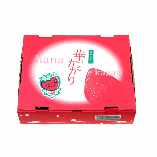 岐阜県産 いちご「華かがり」 2パック【限定200点】【お届け期間：3月1日〜3月31日】【お買い得セール2月】　商品画像4