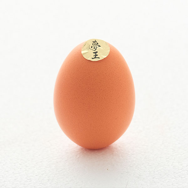 兵庫 藤橋商店夢王  20個入10個入×2パック【KN】　商品画像4