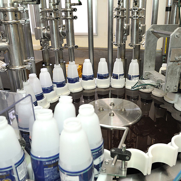 新潟 ヤスダヨーグルトヤスダヨーグルトギフト G1950【KN】　商品画像4