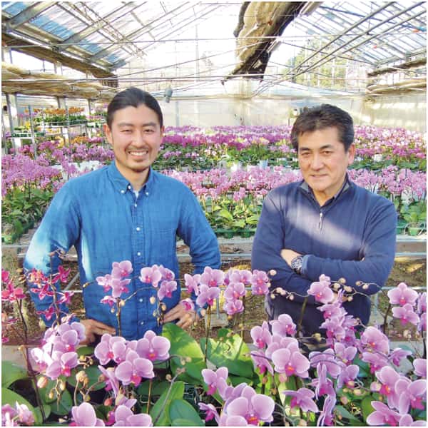 ranto ミディ胡蝶蘭「カーリー」2本立ち【父の日】　商品画像4