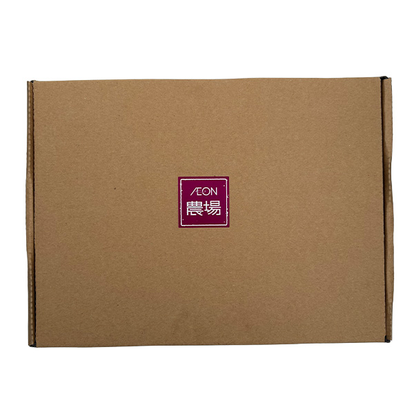 兵庫県産(イオン三木里脇農場)イオン農場いちご(スターナイト・紅ほっぺ)1箱2パック入り(250g×2)【お届け期間:3月7日〜3月31日】【NN】　商品画像4