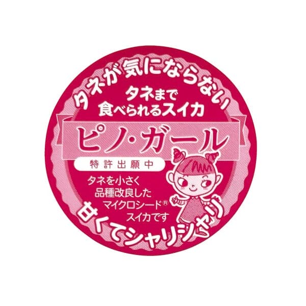 茨城県 筑西市地区 ピノ・ガール Mサイズ 2玉入り【お届け期間:5月19日〜6月30日】【KN】　商品画像3