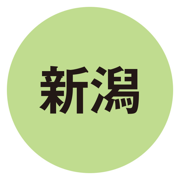 新潟県産豚肉ロース味噌漬けセット【夏の贈りもの・お中元】　商品画像4