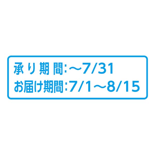 石原産業 胡蝶蘭「BLUE GENE(ブルージーン)」(SUStee付)3本立ち(お届け期間：7/1〜8/15)【夏の贈りもの・お中元】　商品画像4