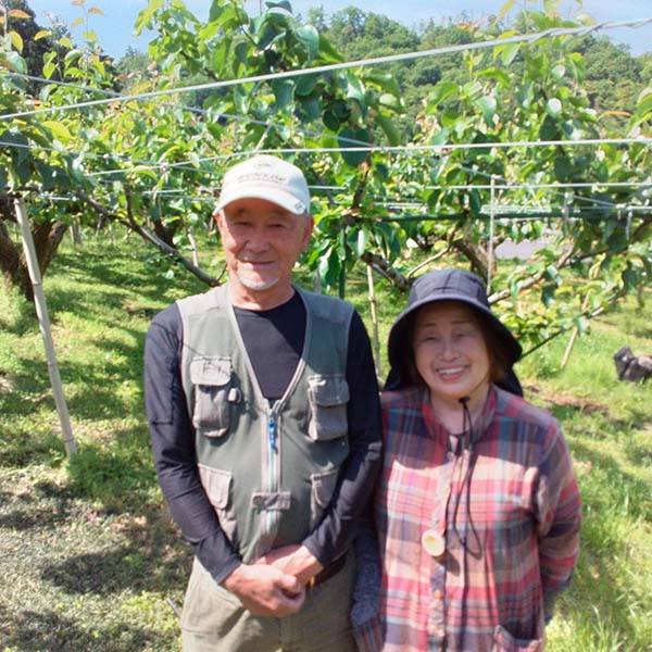 鳥取県産 砂口さんの二十世紀梨 赤秀 5kg【限定50点】【お届け期間：8月20日〜9月25日】【おいしいお取り寄せ】　商品画像4