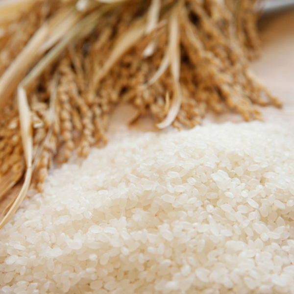 伊丹産業 【令和8年産】【精米】千葉県産粒すけ 10kg【おいしいお取り寄せ】　商品画像4
