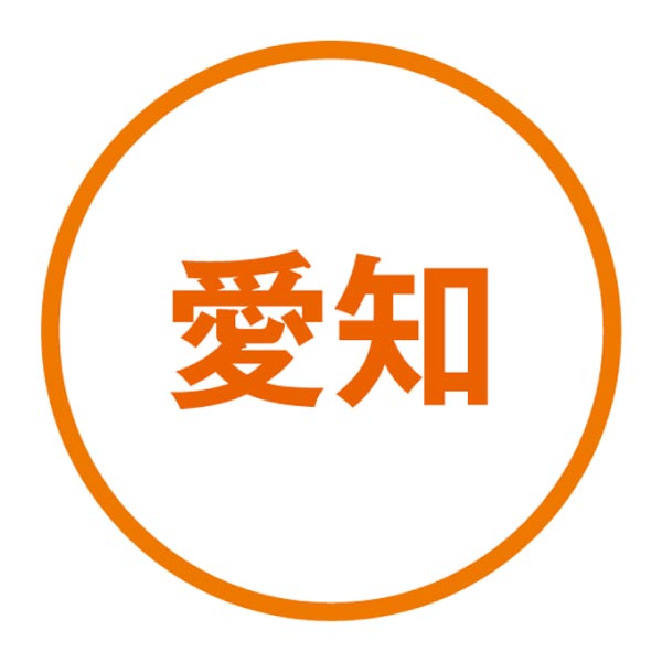 愛知県産(JAひまわり) アールスメロン2個入り化粧箱 (お届け期間：12/1〜12/20)【冬ギフト・お歳暮】　商品画像5