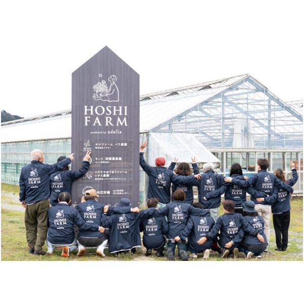 ホシファーム カーネーション＆焦がしキャラメルがしみ込んだバーム4個【母の日】　商品画像5