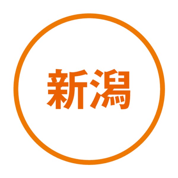 新潟県産(JA新潟かがやき) くろさき茶豆(お届け期間：8/1〜8/23)【夏の贈りもの・お中元】　商品画像5