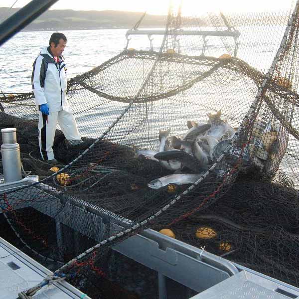 新品?正規品 北海道 三國推奨 漁吉丸の銀聖焼魚ギフト 三國推奨漁吉丸の銀聖焼漬し70g×3 三國推奨漁吉丸の銀聖塩麹焼き 三國推奨漁吉丸の銀聖大豆味噌焼き  各55ｇ×各2 お取り寄せグルメ newschoolhistories.org