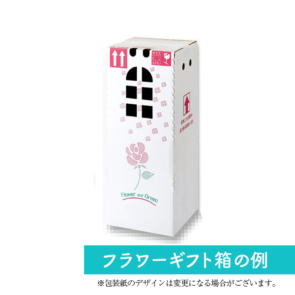浅野園芸 カーネーション3色寄せ植え（SUSTEE付） 【母の日】　商品画像5
