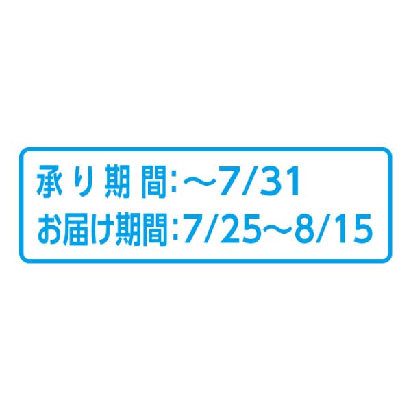 青森県産(つがるメロン協議会) タカミメロン大玉(青肉)(お届け期間：7/25〜8/15)【夏の贈りもの・お中元】　商品画像5