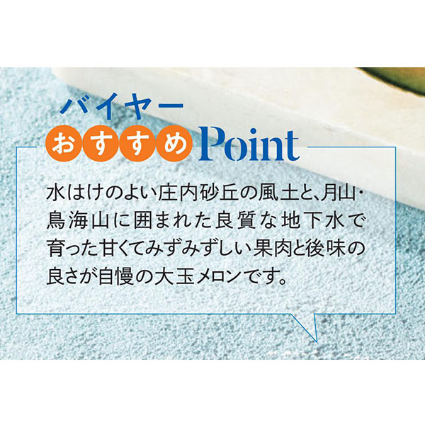 山形県産(早坂三十郎農園) 味自信作 大玉メロン(赤と青)(お届け期間：6/25〜8/15)【夏の贈りもの・お中元】　商品画像5