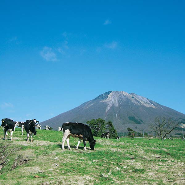 ヨーグルト フォーシーズンズ フローズンヨーグルトセット8個入【夏の贈りもの・お中元】[FY50]　商品画像5