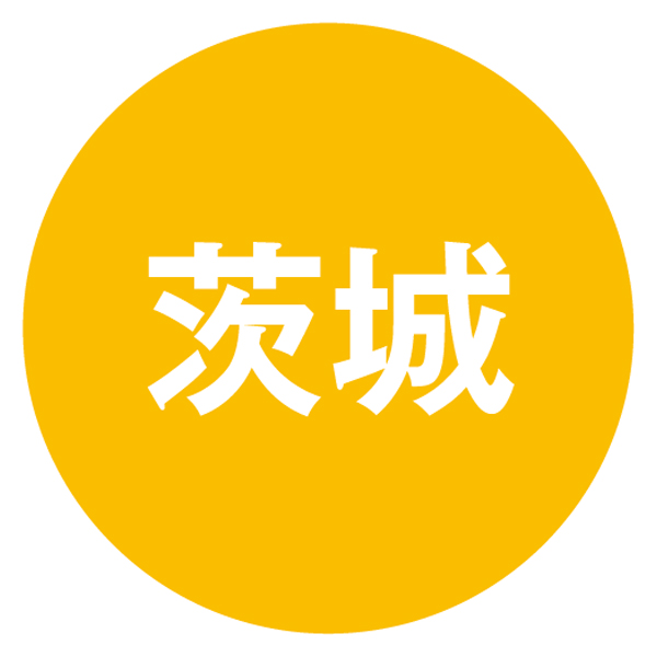 常陸牛ロースすきやき用【冬の贈りもの・お歳暮】 商品画像5