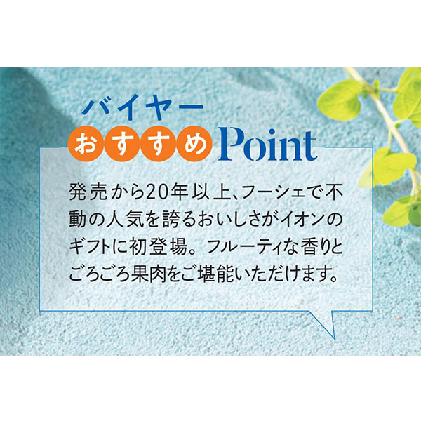 フーシェ 国産果実のジュレ・トリアングル【夏の贈りもの・お中元】[GTL-50]　商品画像5