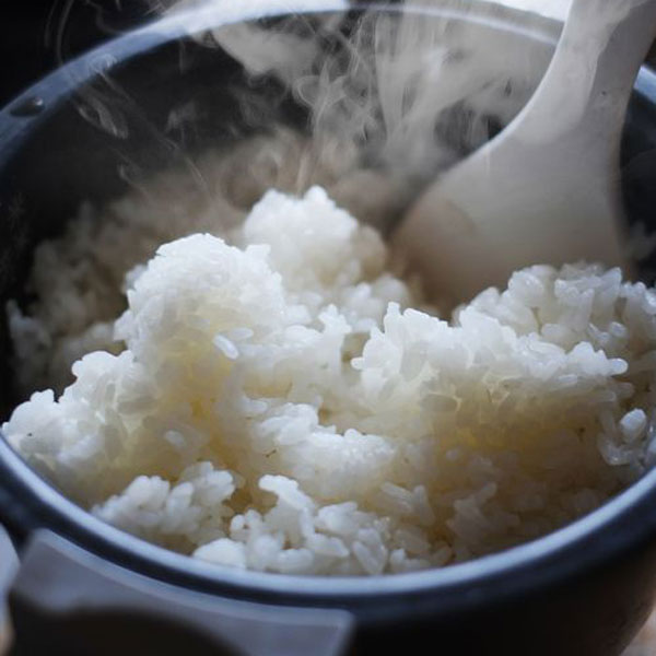 【令和4年産】新潟県産 無洗米こしひかり 5kg【おいしいお取り寄せ】　商品画像5