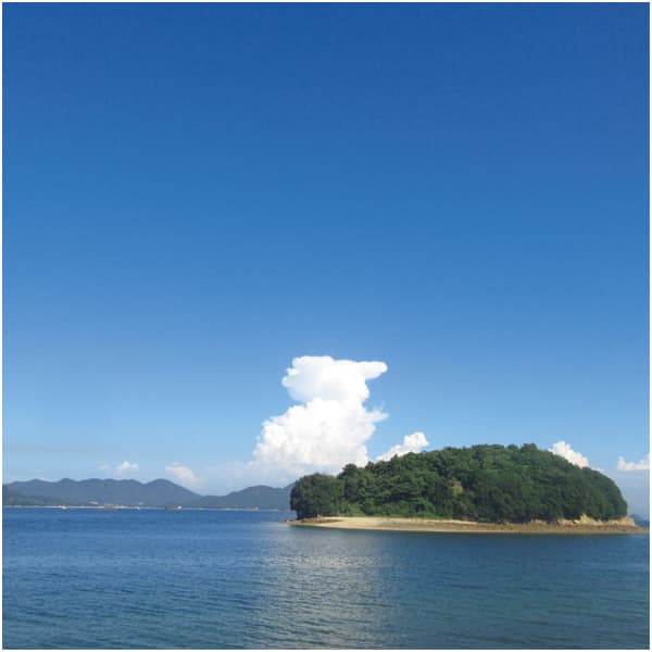 万汐農園 広島県産シトラスぷりん詰合せ【冬の贈りもの・お歳暮】[MC-6]　商品画像5