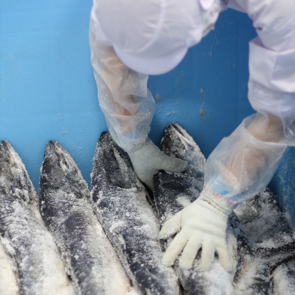 NSニッセイ 北海道認証 14日間熟成新巻鮭　姿切身半身【おいしいお取り寄せ】　商品画像5