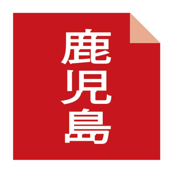 小田口屋 彩りさつま揚げ詰合せ【冬の贈りもの・お歳暮】[ERWD-025]　商品画像5