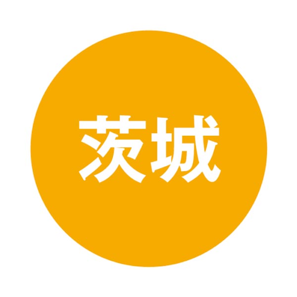 亀印製菓 ふわふわクリーミー生大福メロン【夏の贈りもの・お中元】[MD-6]　商品画像5