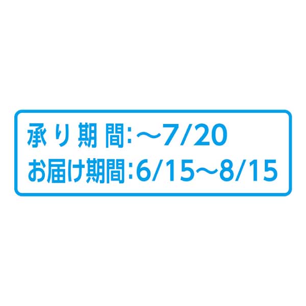トップバリュ 減の恵み・沖縄県産(西表島) アップルマンゴー(お届け期間：6/15〜8/15)【夏の贈りもの・お中元】　商品画像5