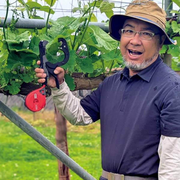 長野県産 2色ぶどう詰合せ(お届け期間:11/11〜12/31)【冬の贈りもの・お歳暮】 商品画像5