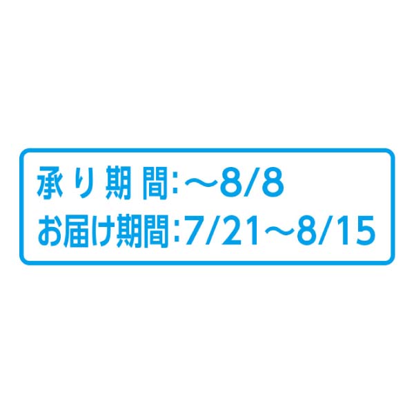 北海道産(JAきょうわ) らいでんメロン 2個(赤肉メロン)(お届け期間：7/21〜8/15)【夏の贈りもの・お中元】　商品画像5