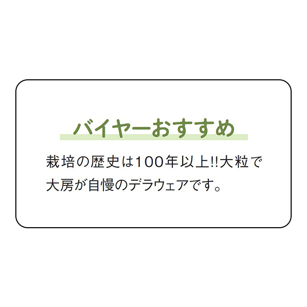 石川県産(JA石川かほく) 高松ぶどう(デラウェア)(お届け期間：7/11〜7/31)【夏の贈りもの・お中元】　商品画像5