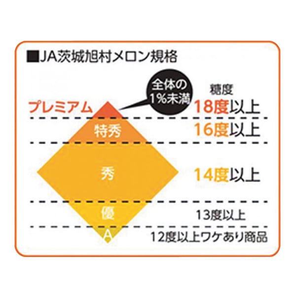 茨城県産(JA茨城旭村) オトメメロン(3Lサイズ4個)【お届け期間:4月27日〜5月17日】【KN】　商品画像5