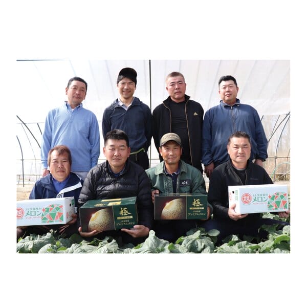 茨城県 JA茨城旭村 プレミアムメロン2種ミックス 2Lサイズ2玉入り(アンデス1玉、クインシー1玉)【限定200点】【お届け期間:5月15日〜6月30日】【KN】　商品画像4