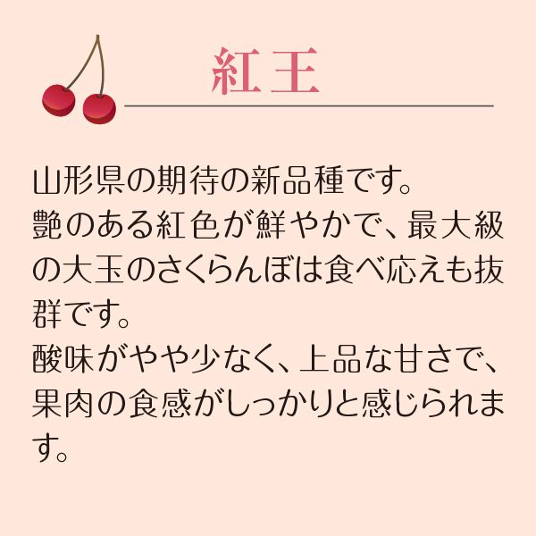 山形県産 さくらんぼ(紅王)(秀2L～3Lバラ詰め、300g)【お届け期間:6/20