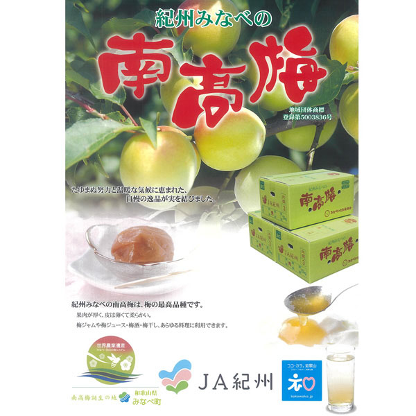 和歌山県産 JA紀州 南高梅 秀3L 3kg  【ふるさとの味・東海】　商品画像5