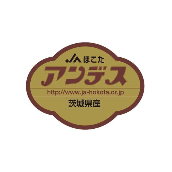 茨城県 JAほこた メロン2種ミックス 2Lサイズ4玉入(アンデス・クインシー)【お届け期間:5月18日〜6月30日】【KN】　商品画像4