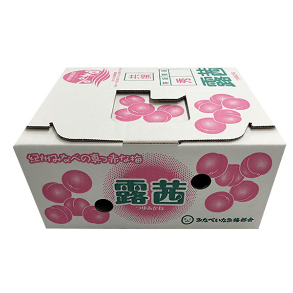 和歌山県産 JAわかやま(紀州地域本部)青梅 露茜(つゆあかね) 4L寸 2kg【限定20点】【お届け期間：6月10日〜7月18日】【おいしいお取り寄せ】　商品画像5