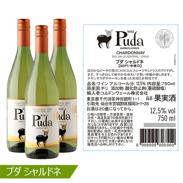 チリ産 Pudaワイン 12本セット 【お買い得セール10月】　商品画像5